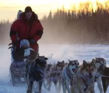 Salmon Berry Tours is offering an Iditarod-theme tour in 2012.  // © 2011 Salmon Berry Tours
